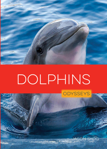Dolphins book cover by Jason Skog