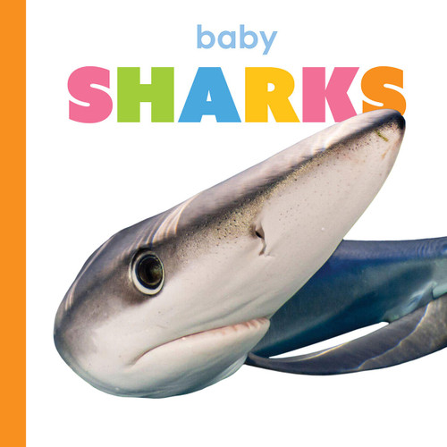 Baby Sharks (Starting Out) book cover by Kim Thompson
