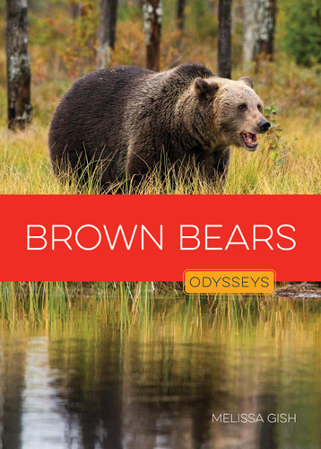 Brown Bears book cover by Melissa Gish