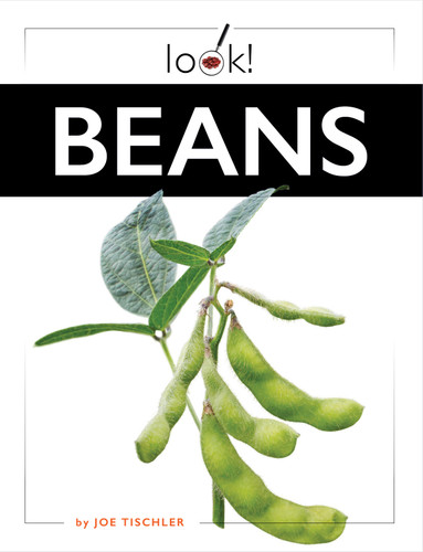 Beans book cover by Joe Tischler