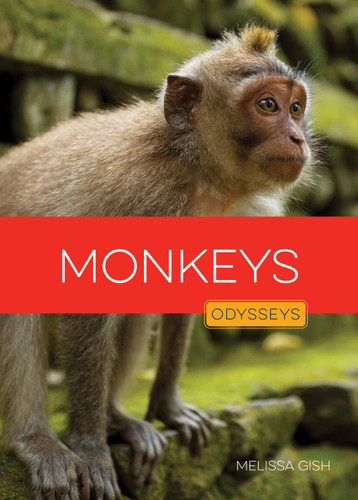 Monkeys book cover by Melissa Gish
