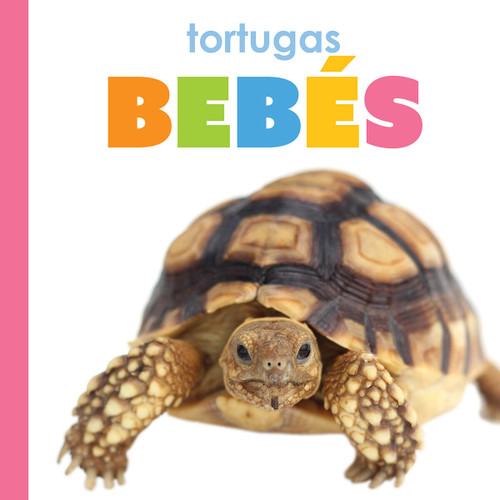 Tortugas bebes book cover by Meg Greve