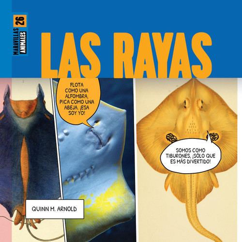 Las rayas book cover by Quinn M. Arnold