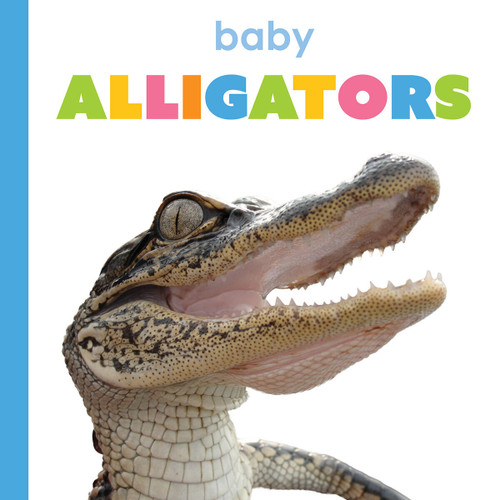 Baby Alligators (Starting Out) book cover by Kim Thompson