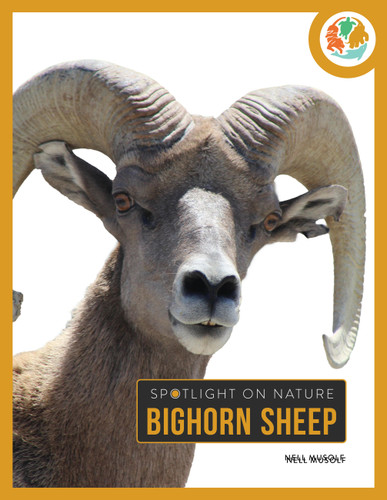 Bighorn Sheep book cover by Nell Musolf