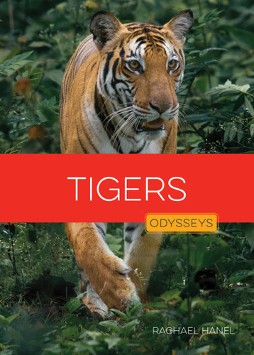 Tigers book cover by Rachael Hanel