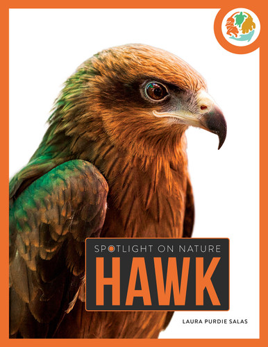 Hawk book cover by Laura Salas