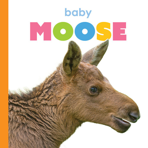 Baby Moose (Starting Out) book cover by Kim Thompson