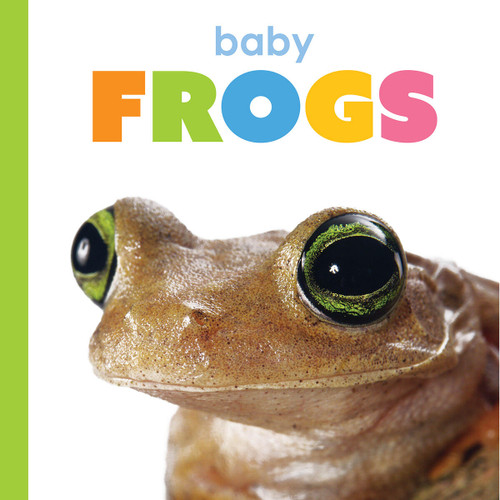 Baby Frogs (Starting Out) book cover by Kim Thompson