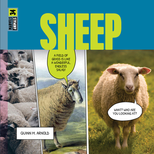 Sheep book cover by Quinn M. Arnold