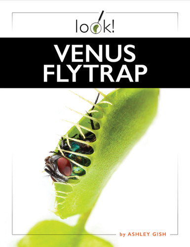 Venus Flytrap book cover by Ashley Gish