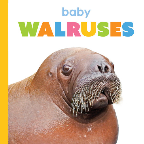 Baby Walruses (Starting Out) book cover by Kim Thompson