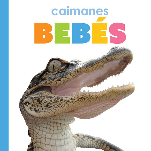 Caimanes bebés book cover by Kim Thompson
