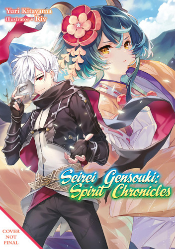 Seirei Gensouki: Spirit Chronicles: Omnibus 11 (Light Novel) (Seirei Gensouki: Spirit Chronicles (Light Novel) #11) book cover by Yuri Kitayama