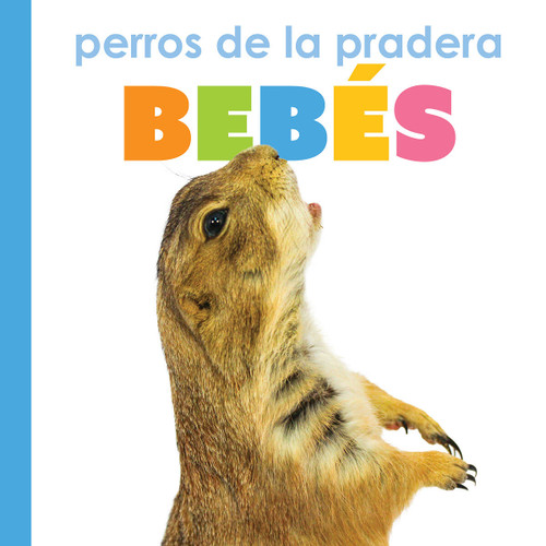 Perros de la pradera bebés book cover by Kim Thompson