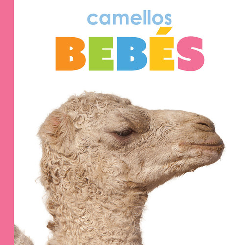 Camellos bebés book cover by Kim Thompson