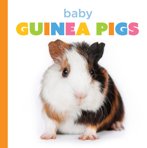 Baby Guinea Pigs (Starting Out) book cover by Laura K. Murray