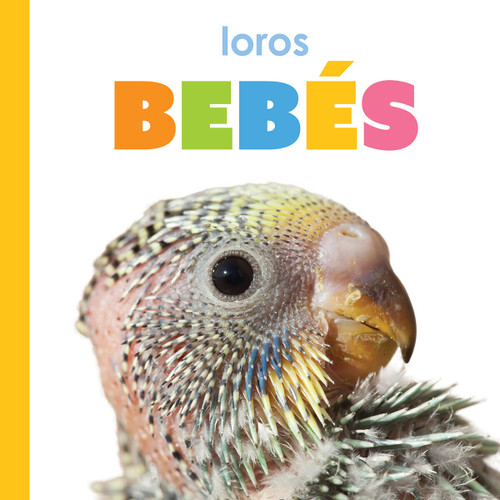 Loros bebés book cover by Kim Thompson