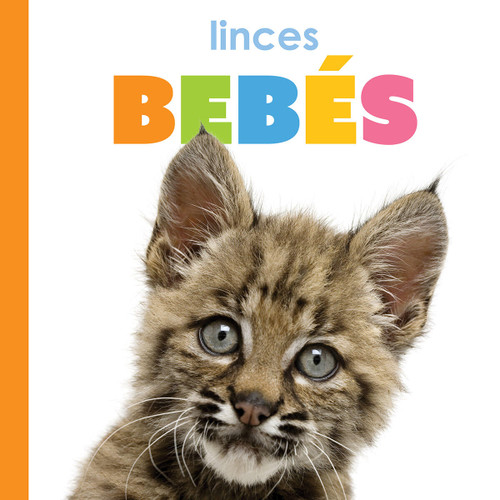 Linces bebés book cover by Kim Thompson