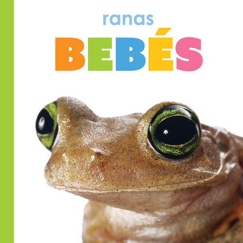 Ranas bebés book cover by Kim Thompson
