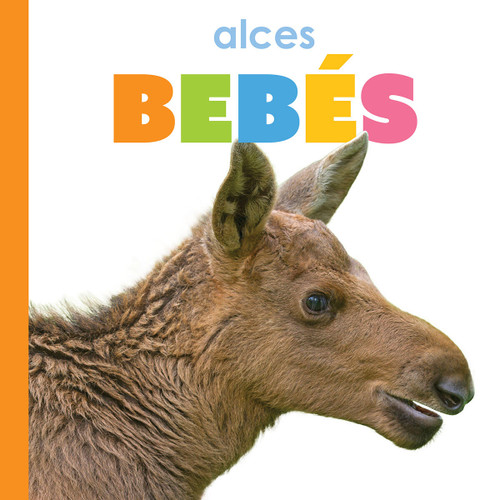 Alces bebés book cover by Kim Thompson