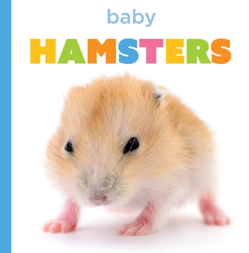Baby Hamsters (Starting Out) book cover by Laura K. Murray