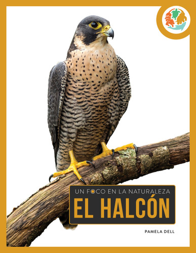 El halcón book cover by Pamela Dell