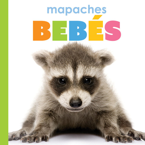 Mapaches bebés book cover by Kim Thompson