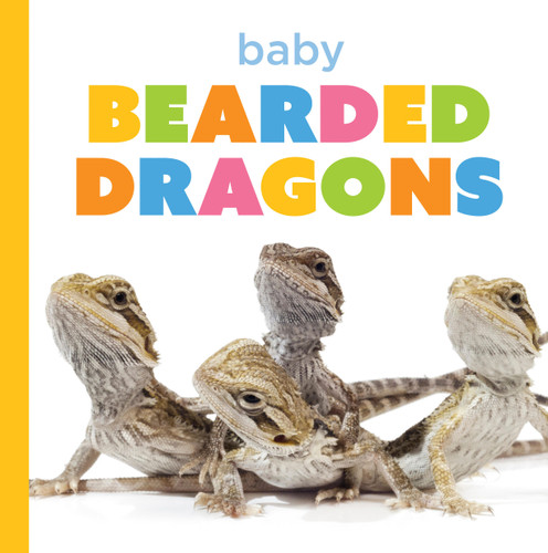 Baby Bearded Dragons (Starting Out) book cover by Laura K. Murray