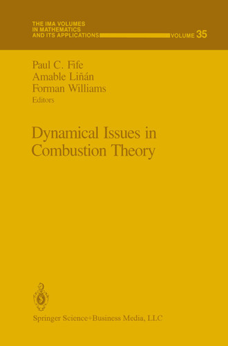 Dynamical Issues in Combustion Theory (The IMA Volumes in Mathematics and its Applications #35) book cover by 