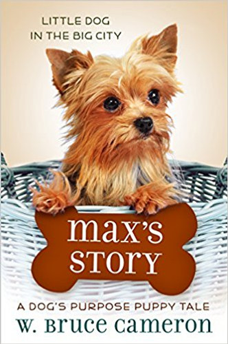 Max's Story: A Dog's Purpose Puppy Tale (A Dog's Purpose Puppy Tales) Cover