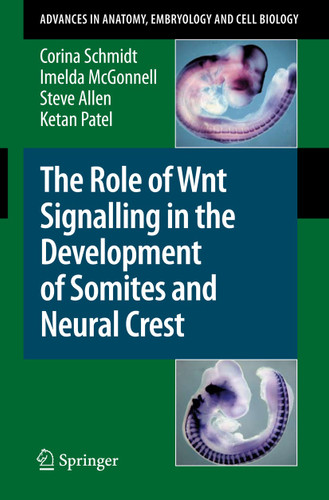 The Role of Wnt Signalling in the Development of Somites and Neural Crest (Advances in Anatomy, Embryology and Cell Biology #195) book cover by Corina Schmidt, Imelda McGonnell, Steve Allen, Ketan Patel