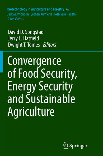 Convergence of Food Security, Energy Security and Sustainable Agriculture (Biotechnology in Agriculture and Forestry #67) book cover by 