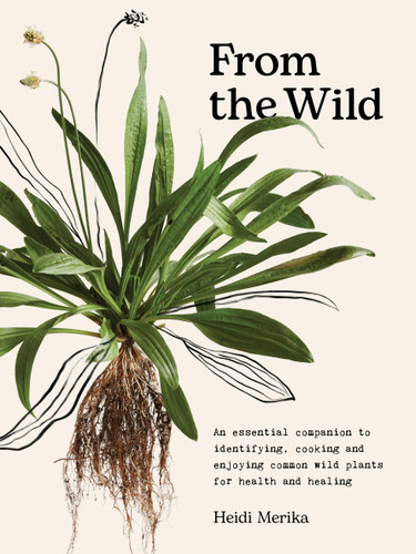 From the Wild: The essential companion to identifying, using and enjoying common wild plants for health and healing book cover by Heidi Merika