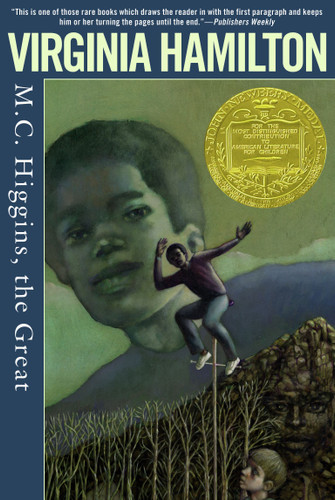 M.C. Higgins, the Great book cover by Virginia Hamilton