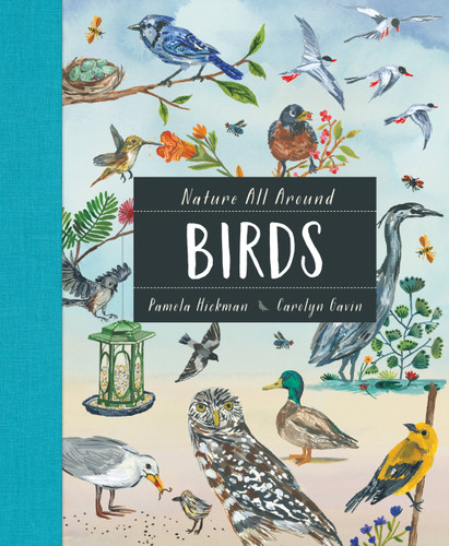 Nature All Around: Birds (Nature All Around) book cover by Pamela Hickman