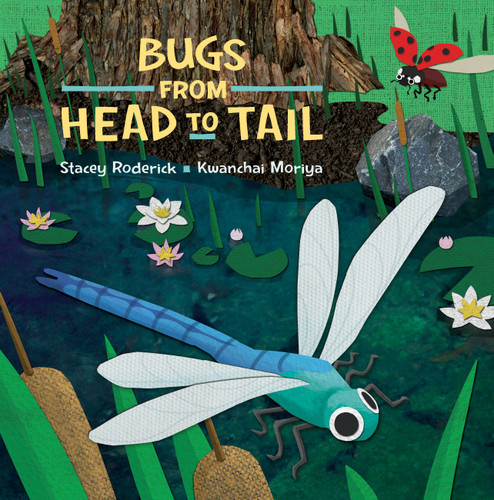 Bugs from Head to Tail (Head to Tail) book cover by Stacey Roderick