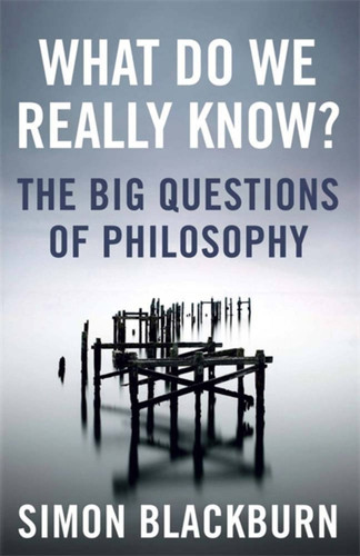 What Do We Really Know?: The Big Questions in Philosophy book cover by Simon Blackburn