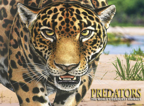 Predators: The World's Deadliest Animals book cover by Paula Hammond