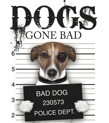Dogs Gone Bad (Mini Gift) book cover by Jack Russell