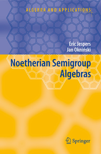 Noetherian Semigroup Algebras (Algebra and Applications #7) book cover by Eric Jespers, Jan Okninski