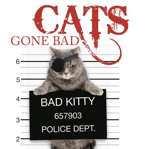 Cats Gone Bad (Mini Gift) book cover by Kat Scratching