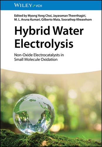 Hybrid Water Electrolysis: Non-Oxide Electrocatalysts in Small Molecule Oxidation book cover by 