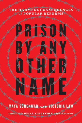 Prison by Any Other Name: The Harmful Consequences of Popular Reforms Cover