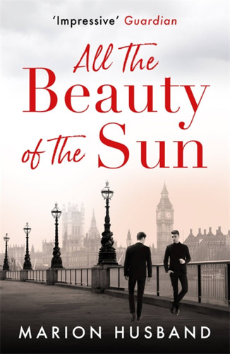 All the Beauty of the Sun: The Boy I Love: Book Two (The Boy I Love) book cover by Marion Husband