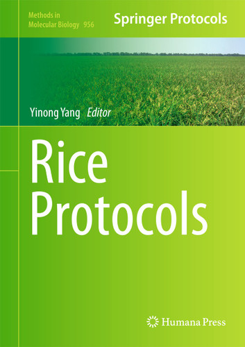 Rice Protocols (Methods in Molecular Biology #956) book cover by 