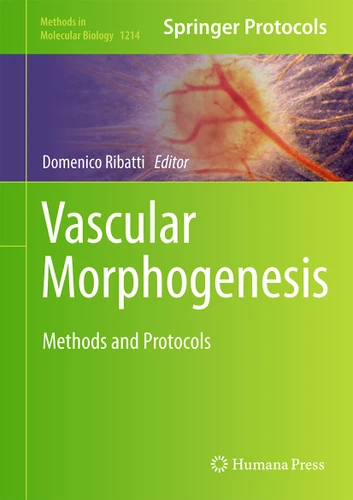 Vascular Morphogenesis: Methods and Protocols (Methods in Molecular Biology #1214) book cover by 