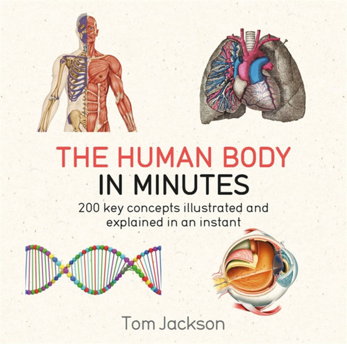 The Human Body in Minutes: 200 key concepts illustrated and explained in an instant (In MInutes) book cover by Tom Jackson