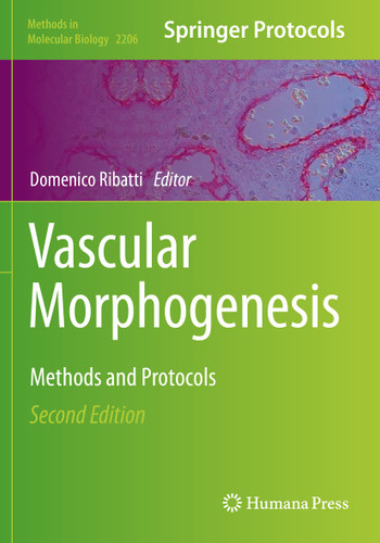 Vascular Morphogenesis: Methods and Protocols (Methods in Molecular Biology #2206) book cover by 