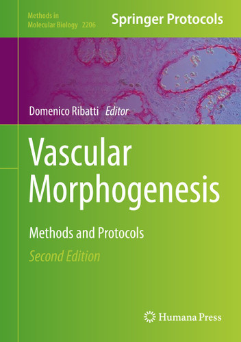 Vascular Morphogenesis: Methods and Protocols (Methods in Molecular Biology #2206) book cover by 